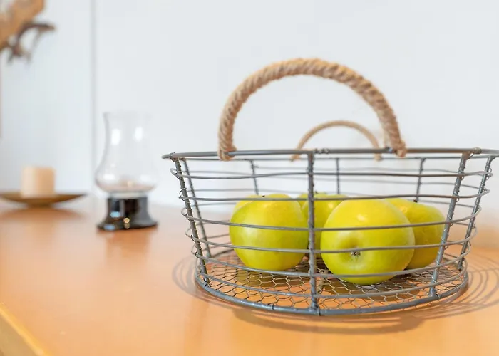 Haus Schwanensee Seeblick Bischofsee 公寓 Bosau