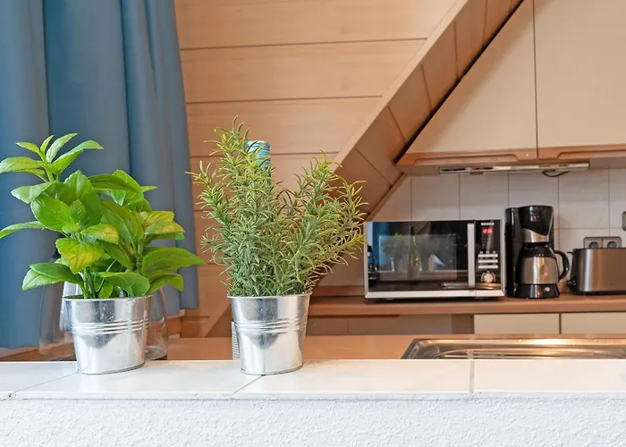 Haus Schwanensee Seeblick Bischofsee